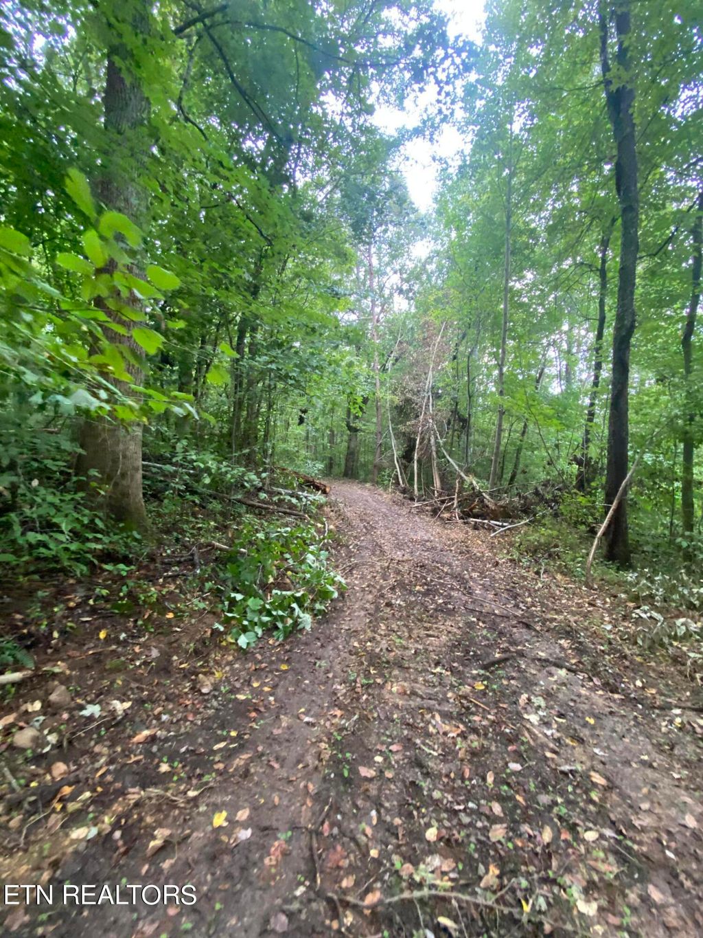 Photo of Norma Rd, Huntsville, TN 37756 (MLS # 1239167)