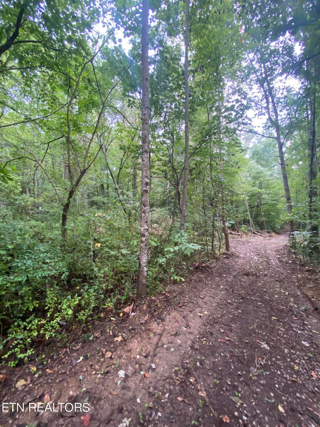 Photo of Norma Rd, Huntsville, TN 37756 (MLS # 1239167)