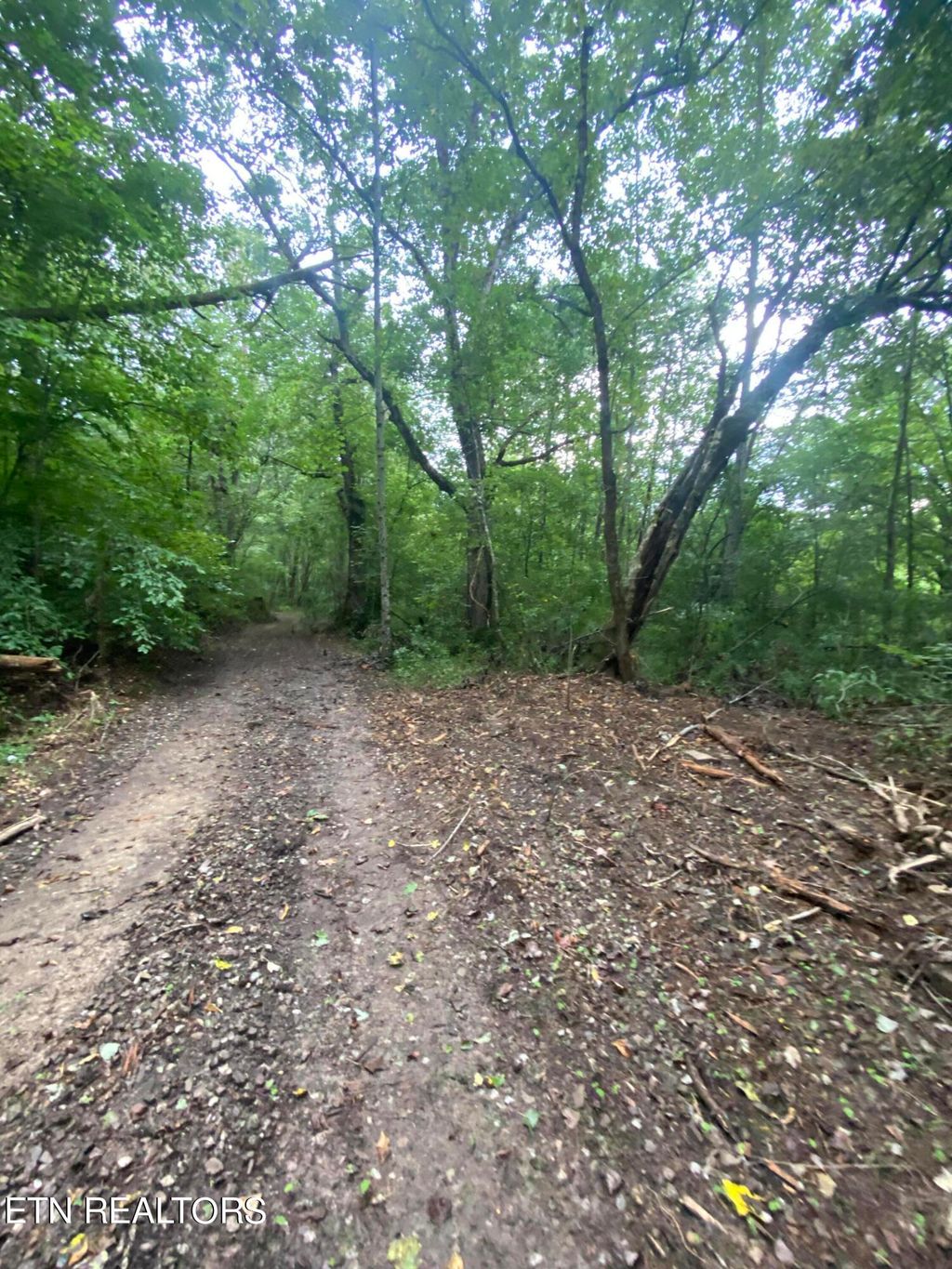 Photo of Norma Rd, Huntsville, TN 37756 (MLS # 1239167)