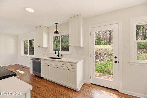 Tiny photo for 1417 SW Audena Lane, Knoxville, TN 37919 (MLS # 1332557)