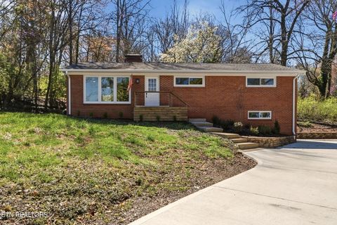 Photo of 1417 SW Audena Lane, Knoxville, TN 37919 (MLS # 1332557)