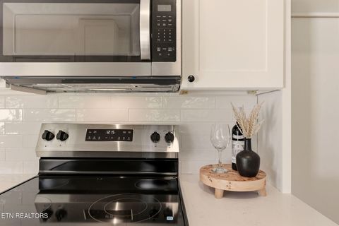 Tiny photo for 1417 SW Audena Lane, Knoxville, TN 37919 (MLS # 1332557)