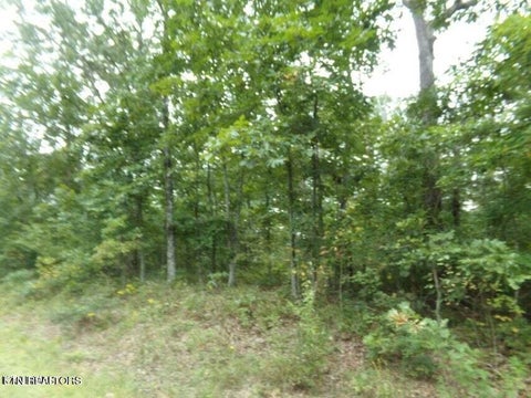 Tiny photo for 5105 Yurch Drive, Crossville, TN 38572 (MLS # 1349752)