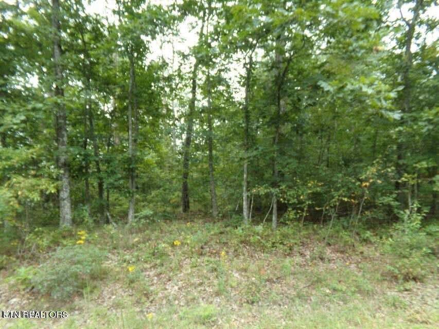 Photo of 5105 Yurch Drive, Crossville, TN 38572 (MLS # 1349752)