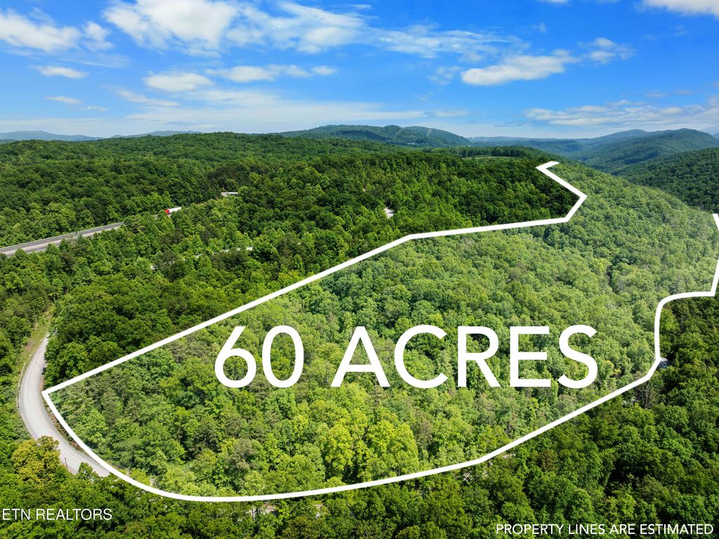Photo of Stinking Creek 61 acres Rd, Pioneer, TN 37847 (MLS # 1303775)