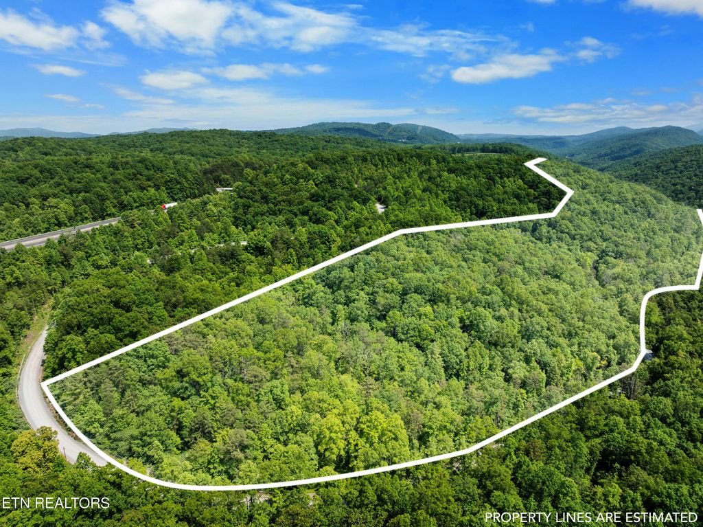 Photo of Stinking Creek 61 acres Rd, Pioneer, TN 37847 (MLS # 1303775)