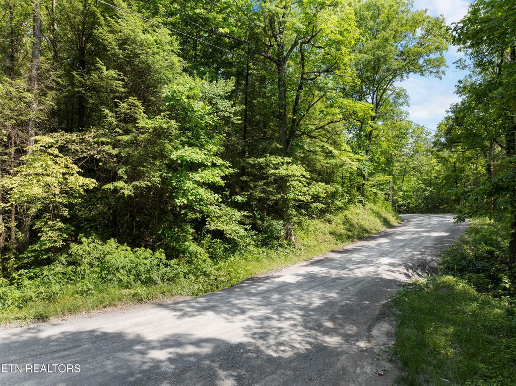 Photo of Stinking Creek 61 acres Rd, Pioneer, TN 37847 (MLS # 1303775)