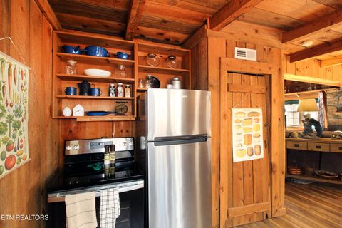 Tiny photo for 1923 Bales Way, Sevierville, TN 37876 (MLS # 1331130)