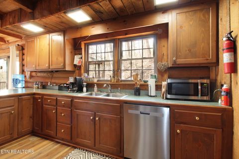 Tiny photo for 1923 Bales Way, Sevierville, TN 37876 (MLS # 1331130)