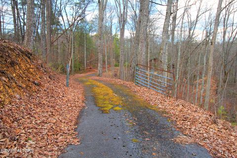 Tiny photo for 1923 Bales Way, Sevierville, TN 37876 (MLS # 1331130)