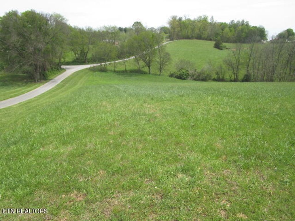 Photo of 569 Callaway Rd, Rutledge, TN 37861 (MLS # 1298191)