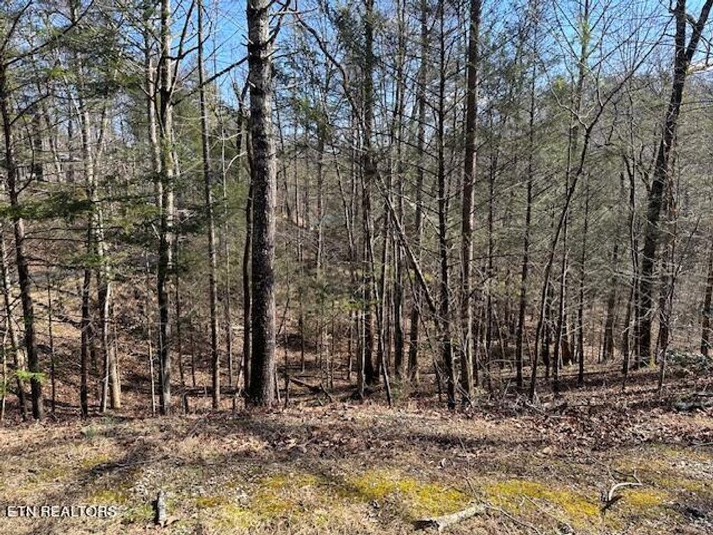 Photo of Laurel Trace Rd, Townsend, TN 37882 (MLS # 1252610)