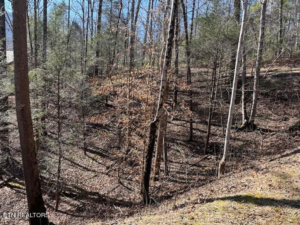 Photo of Laurel Trace Rd, Townsend, TN 37882 (MLS # 1252610)