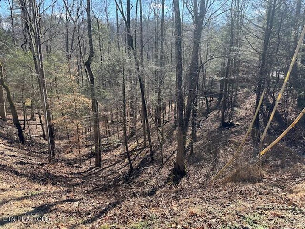 Photo of Laurel Trace Rd, Townsend, TN 37882 (MLS # 1252610)