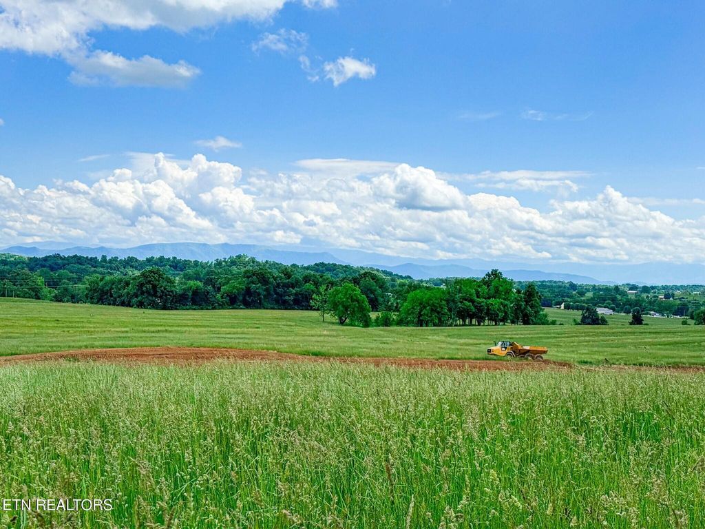 Photo of Lot 15 Summerset Drive, Talbott, TN 37877 (MLS # 1325229)