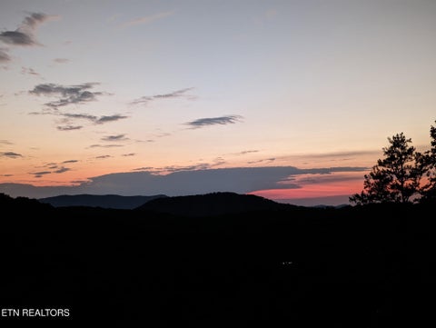 Photo of 125 Indian Ridge Drive, Tellico Plains, TN 37385 (MLS # 1345086)