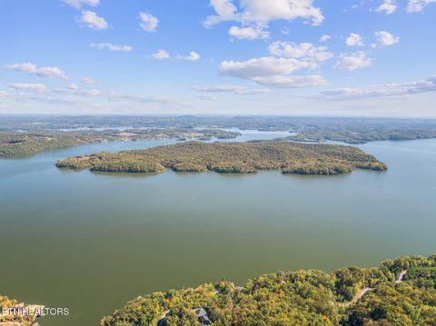 Tiny photo for Hidden Oaks Rd. - 5.14 Acres, Rockwood, TN 37854 (MLS # 1319053)