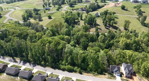 Tiny photo for 28 Bridgewater Blvd, Morristown, TN 37814 (MLS # 1338359)