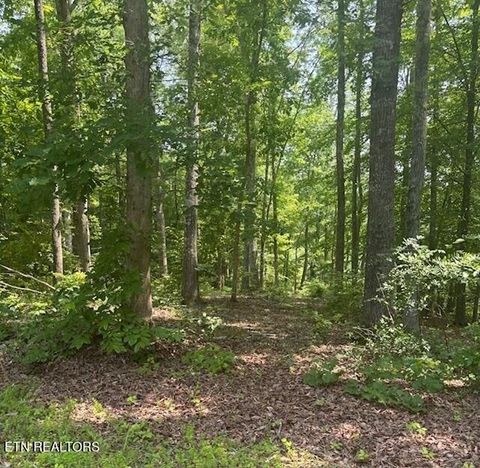 Indigo Bunting Drive Harriman TN 37748