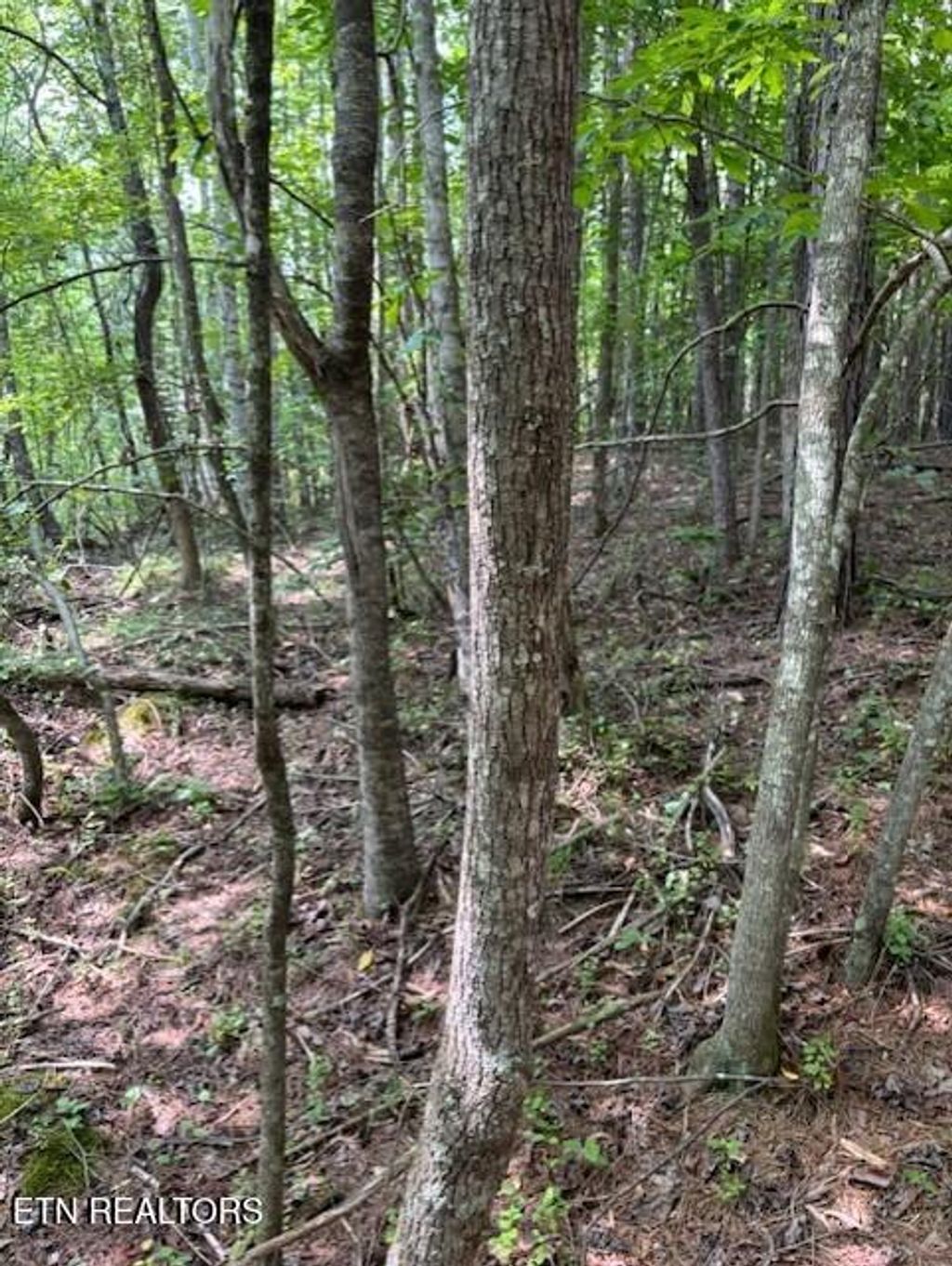 Photo of Indigo Bunting Drive, Harriman, TN 37748 (MLS # 1304214)