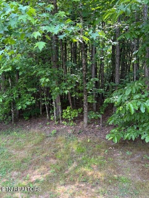 Indigo Bunting Drive
