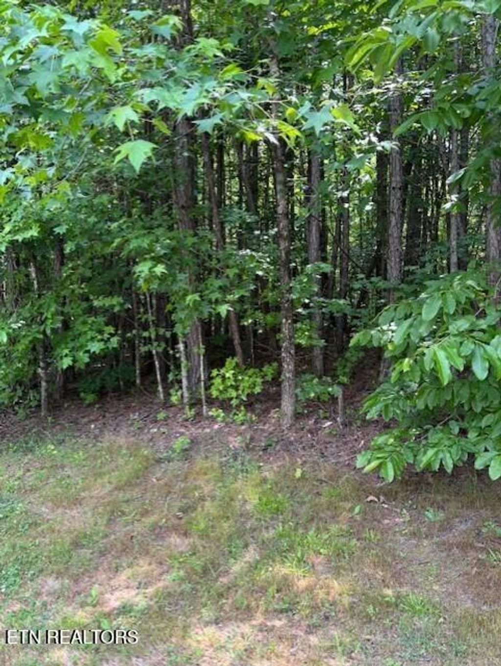 Photo of Indigo Bunting Drive, Harriman, TN 37748 (MLS # 1304214)