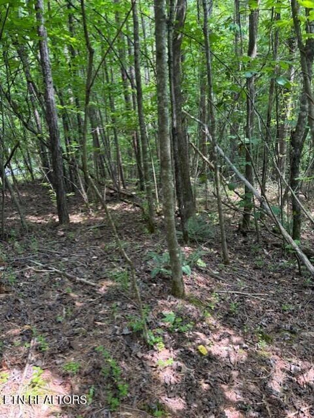 Photo of Indigo Bunting Drive, Harriman, TN 37748 (MLS # 1304214)