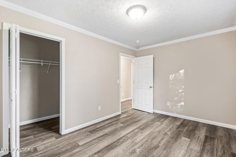 Tiny photo for 146 Toomey Lane, Madisonville, TN 37354 (MLS # 1319511)