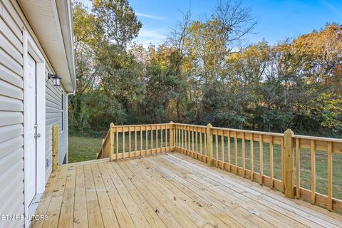Tiny photo for 146 Toomey Lane, Madisonville, TN 37354 (MLS # 1319511)