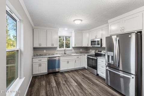 Tiny photo for 146 Toomey Lane, Madisonville, TN 37354 (MLS # 1319511)