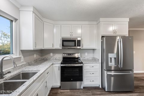 Tiny photo for 146 Toomey Lane, Madisonville, TN 37354 (MLS # 1319511)