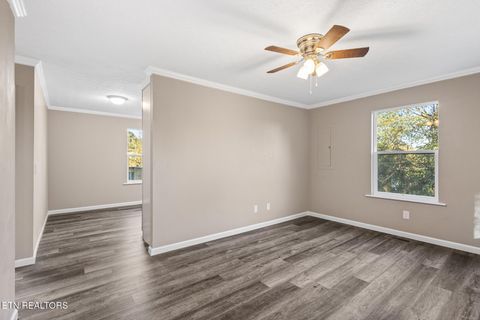 Tiny photo for 146 Toomey Lane, Madisonville, TN 37354 (MLS # 1319511)