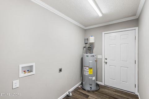 Tiny photo for 146 Toomey Lane, Madisonville, TN 37354 (MLS # 1319511)