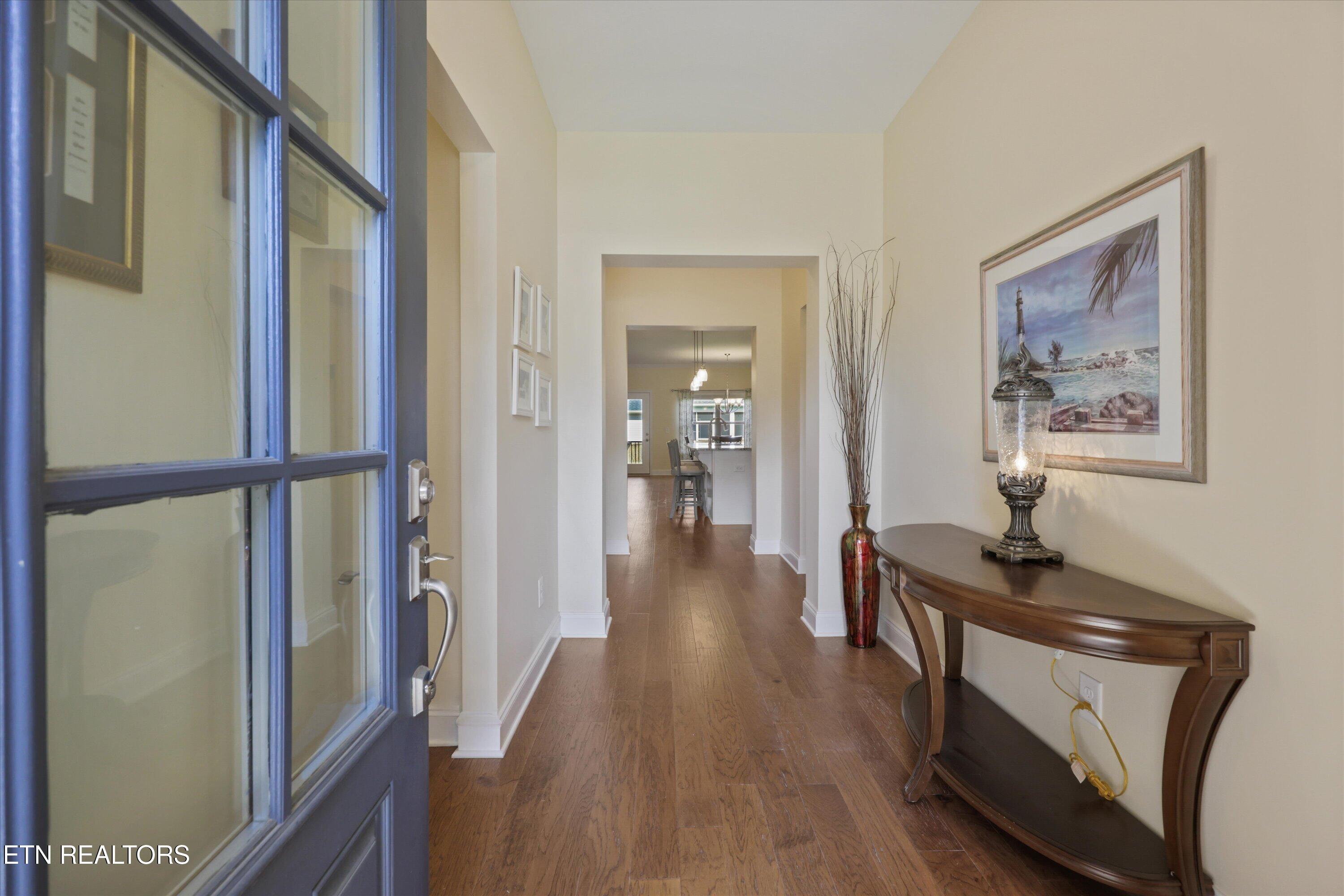 1146 Beech Tree Cove