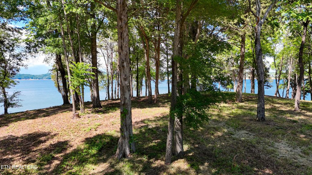 Photo of 122 Ridge Point Tr, Dandridge, TN 37725 (MLS # 1342706)
