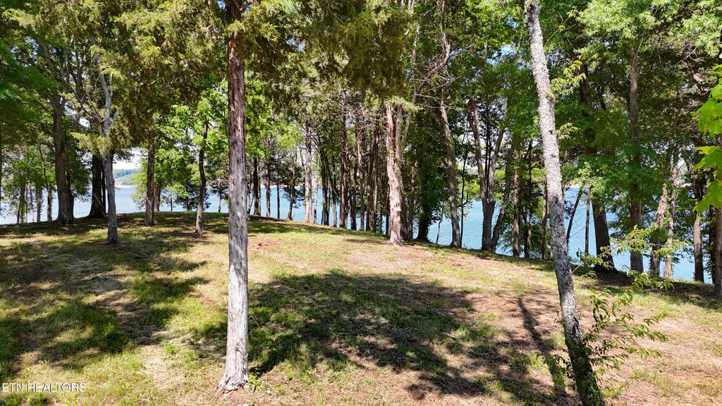 Photo of 122 Ridge Point Tr, Dandridge, TN 37725 (MLS # 1342706)