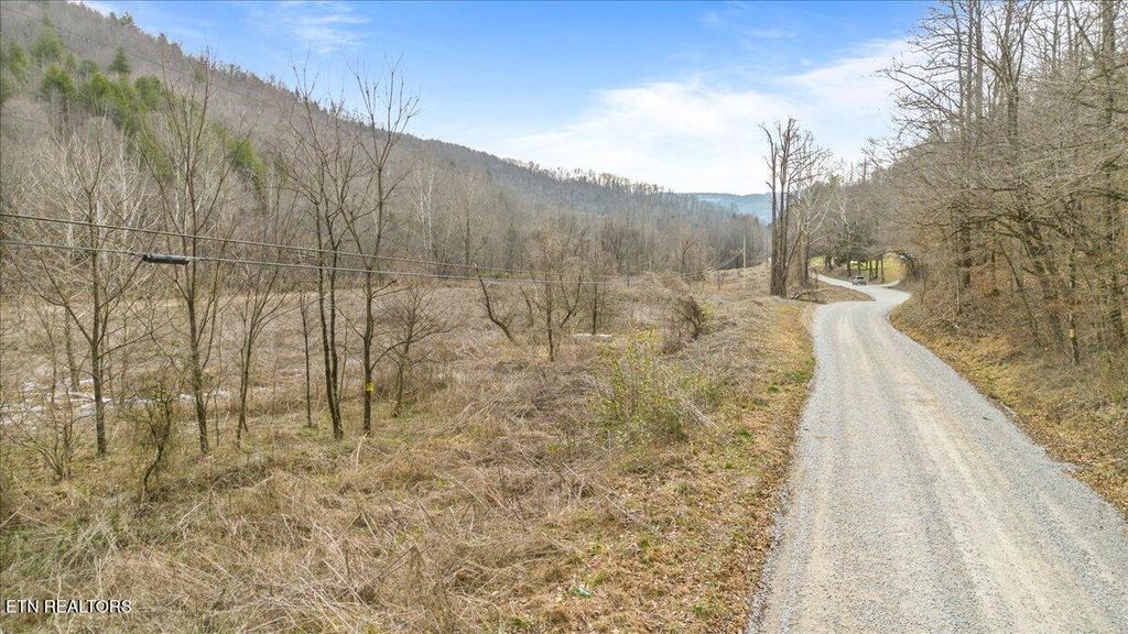 Photo of 16 Smokey Creek Rd, Huntsville, TN 37756 (MLS # 1328323)