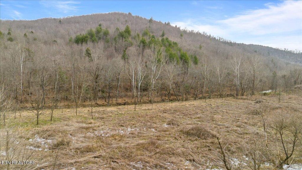 Photo of 16 Smokey Creek Rd, Huntsville, TN 37756 (MLS # 1328323)