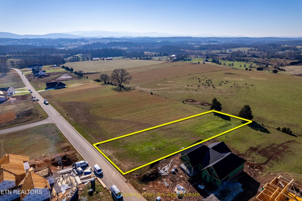 Photo of 1109 Herbert Drive, Greenback, TN 37742 (MLS # 1285442)