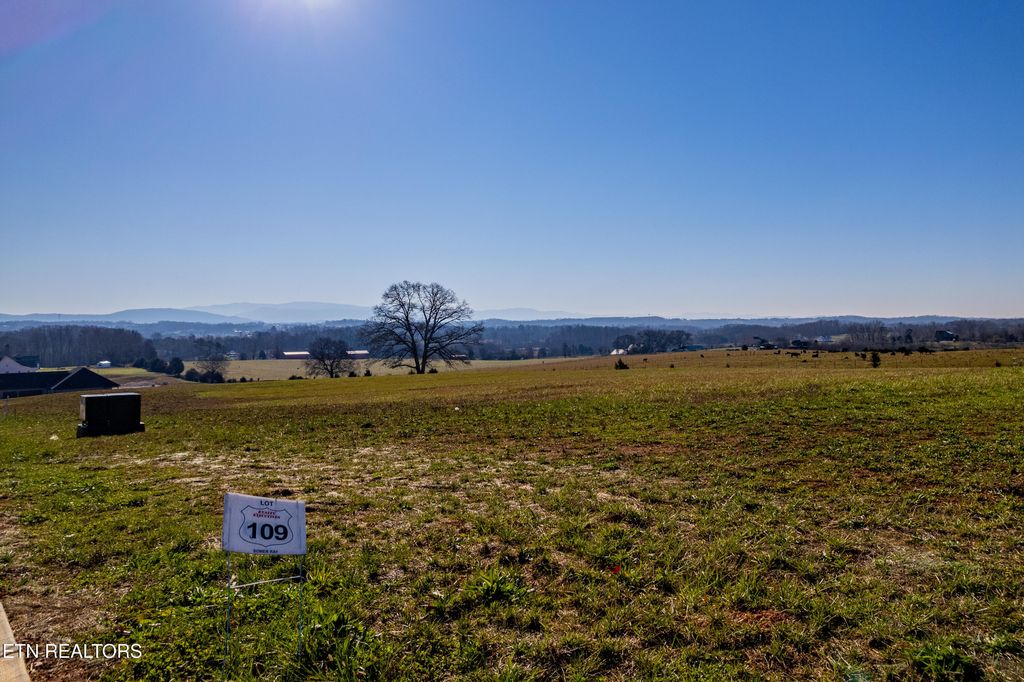 Photo of 1109 Herbert Drive, Greenback, TN 37742 (MLS # 1285442)