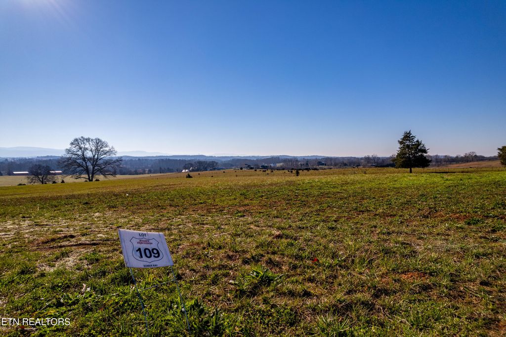 Photo of 1109 Herbert Drive, Greenback, TN 37742 (MLS # 1285442)