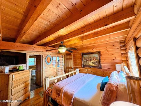 Tiny photo for 27482738 Cats Paw Lane, Sevierville, TN 37862 (MLS # 1328271)