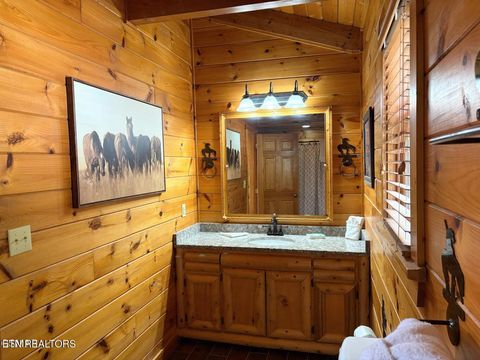 Tiny photo for 27482738 Cats Paw Lane, Sevierville, TN 37862 (MLS # 1328271)