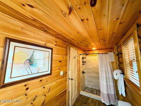 Tiny photo for 27482738 Cats Paw Lane, Sevierville, TN 37862 (MLS # 1328271)