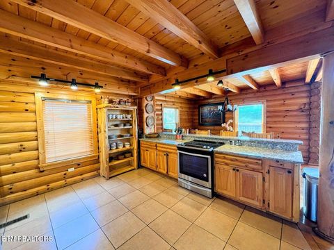 Tiny photo for 27482738 Cats Paw Lane, Sevierville, TN 37862 (MLS # 1328271)