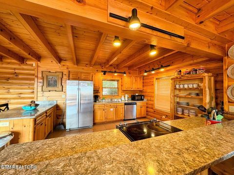 Tiny photo for 27482738 Cats Paw Lane, Sevierville, TN 37862 (MLS # 1328271)