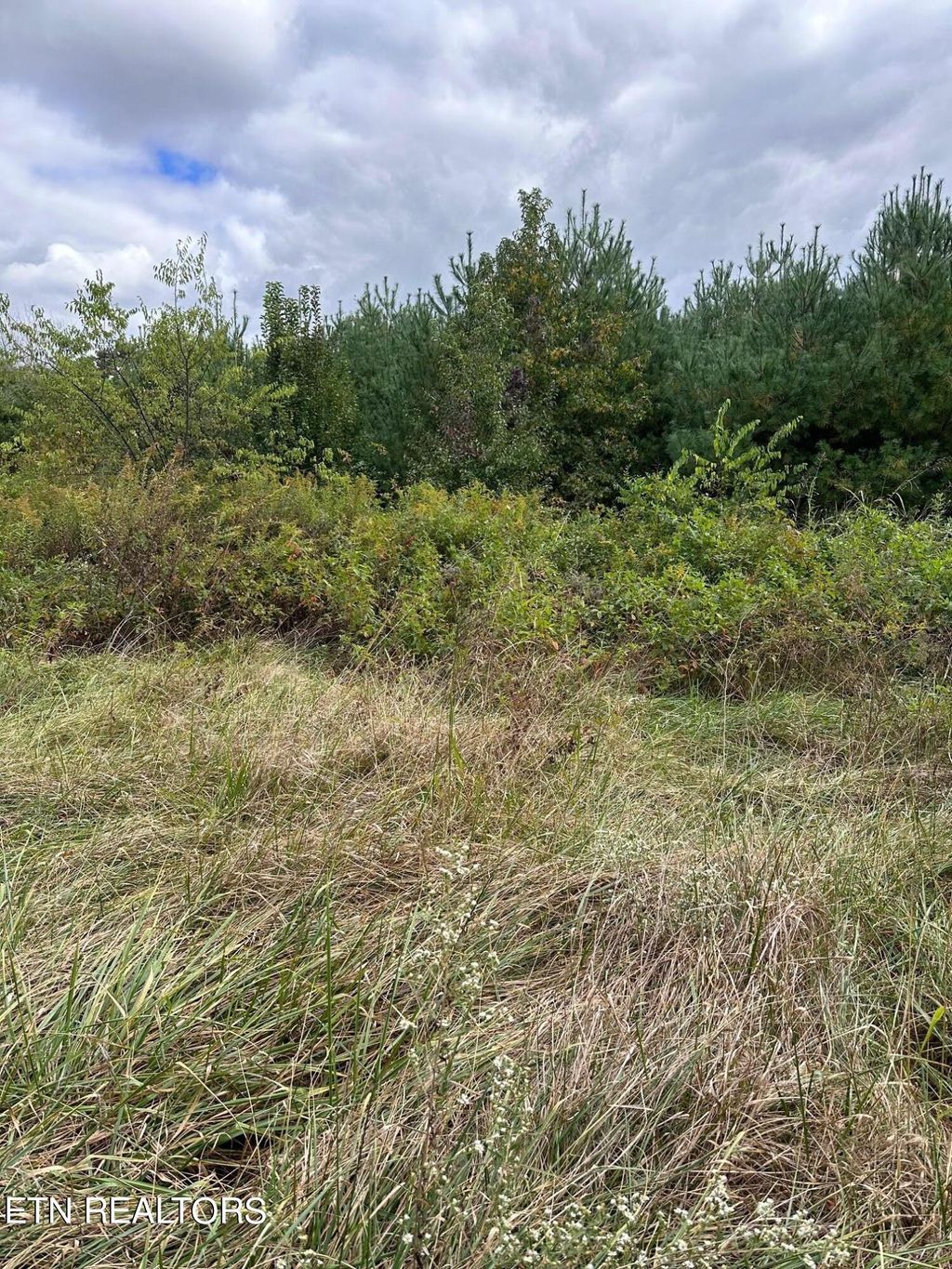 Photo of 1 US-411, Greenback, TN 37742 (MLS # 1243129)