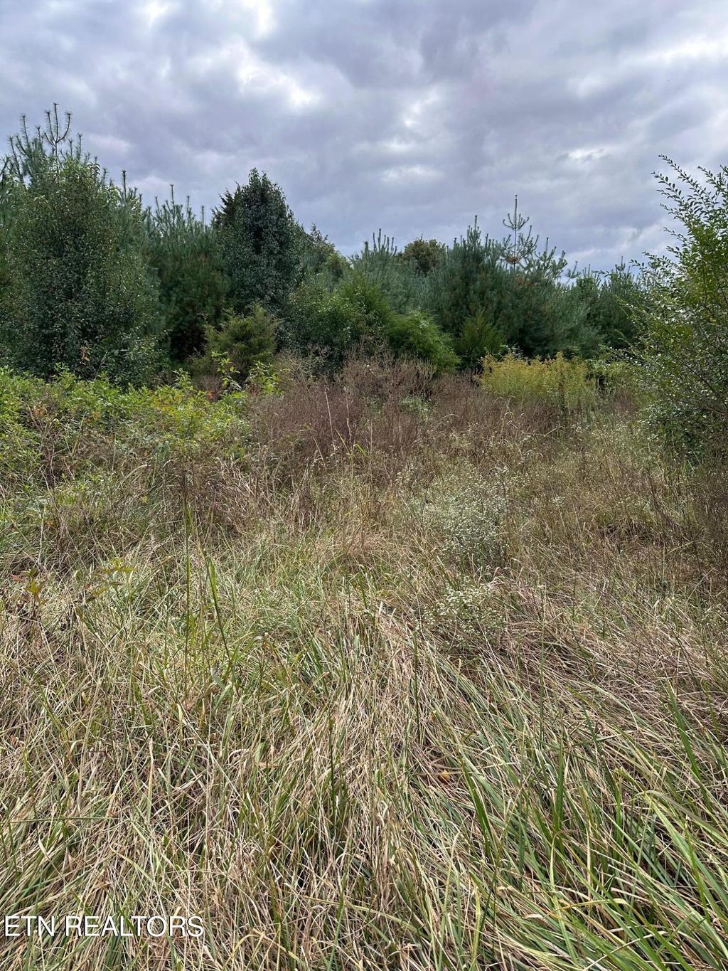 Photo of 1 US-411, Greenback, TN 37742 (MLS # 1243129)