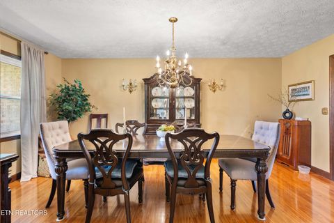 Tiny photo for 116 Vols Lane, LaFollette, TN 37766 (MLS # 1334516)