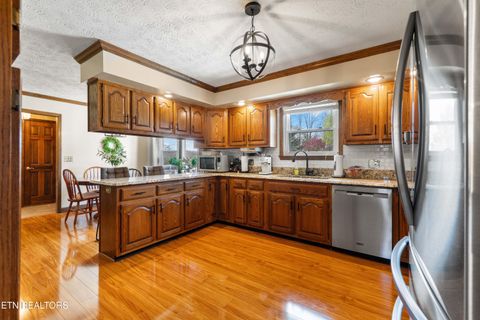 Tiny photo for 116 Vols Lane, LaFollette, TN 37766 (MLS # 1334516)